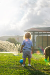  Back view Photo of Boy in Blue Playing Ball